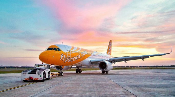 Quy định Scoot về vật nuôi, hàng hóa nguy hiểm, hàng hóa đặc biệt khi bay!