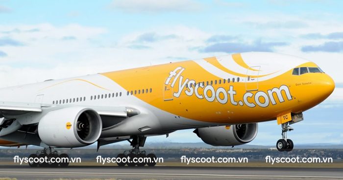 Quy định của Flyscoot