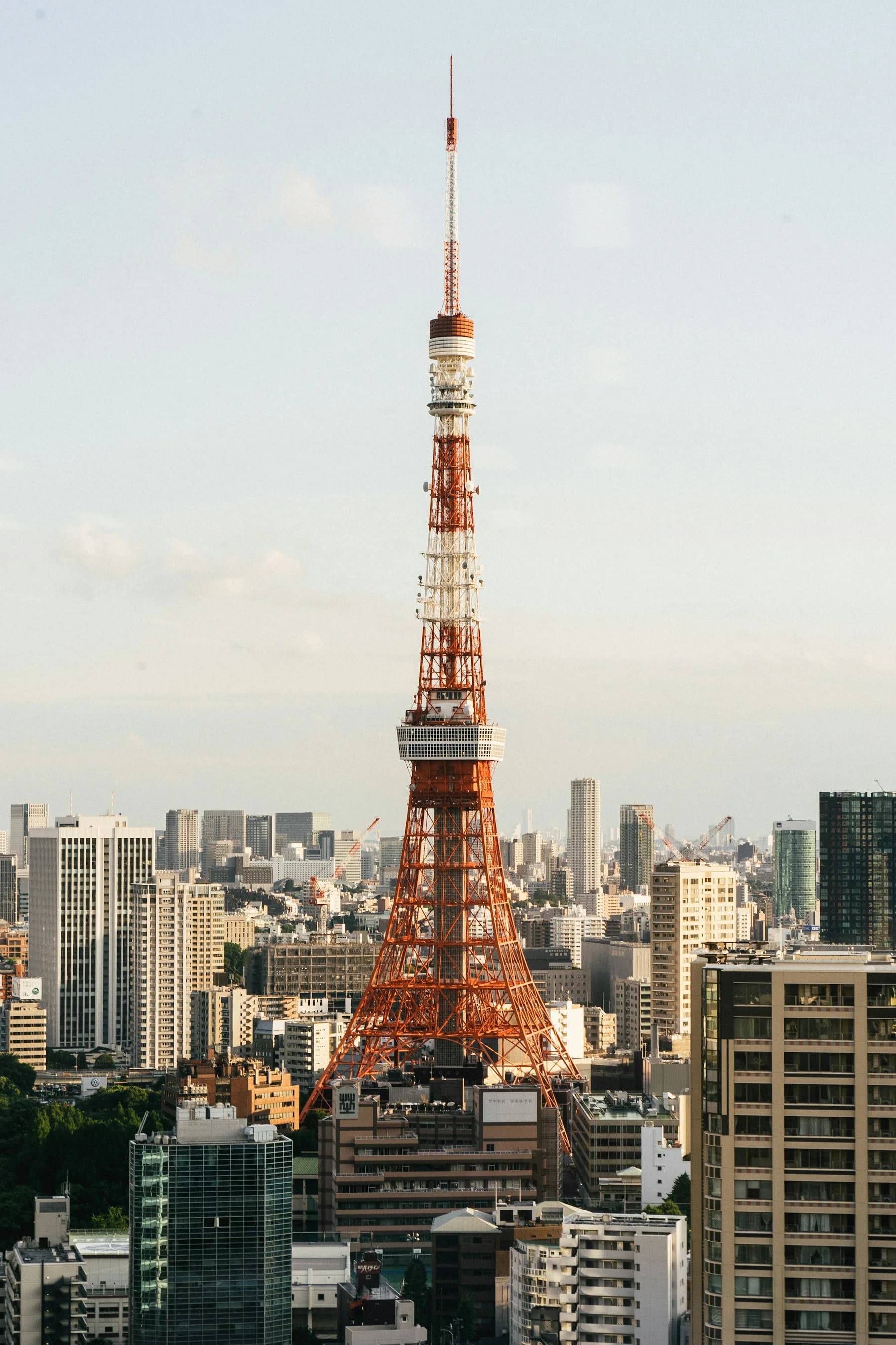 Tháp Tokyo giữa những tòa nhà thành phố